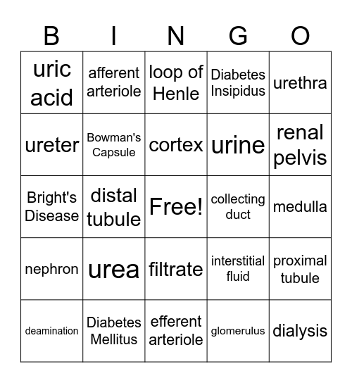 Excretion Bingo Card