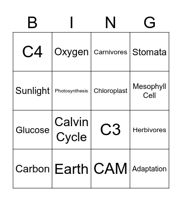 Types of Photosynthesis Bingo Card