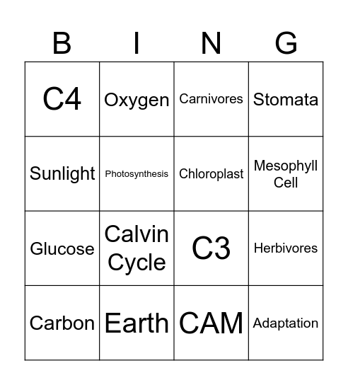 Types of Photosynthesis Bingo Card