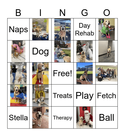 STELLA BINGO Card