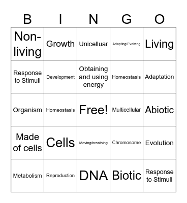 Characteristics of Life Bingo Card
