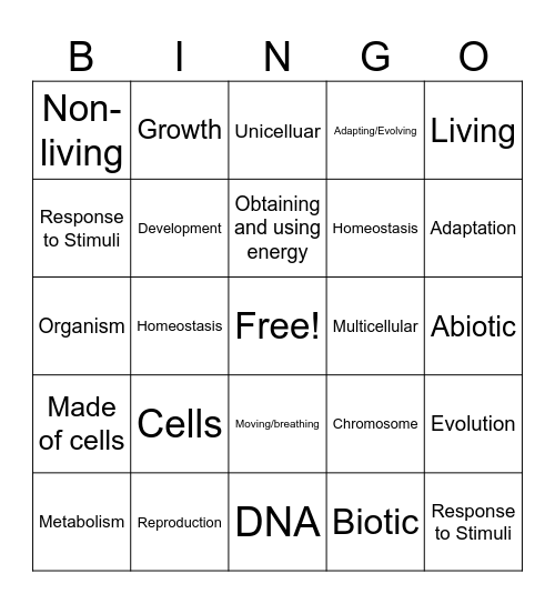 Characteristics of Life Bingo Card