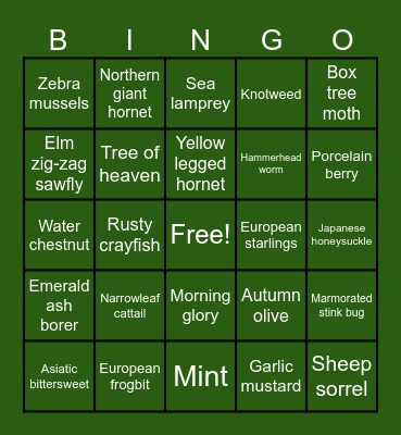 Invasive Species Bingo Card