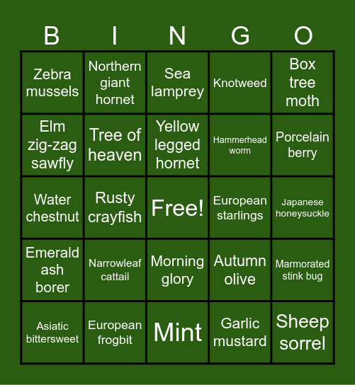 Invasive Species Bingo Card