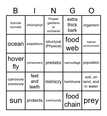 Gr. 3 Chapter A3 Bingo Card