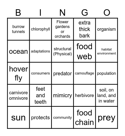 Gr. 3 Chapter A3 Bingo Card