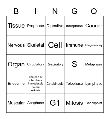 Mitosis and Body Systems Bingo Card