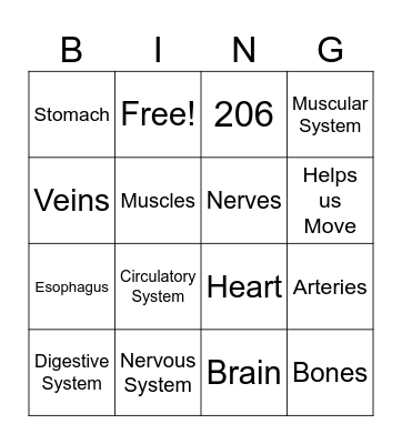 Body Systems BINGO Card