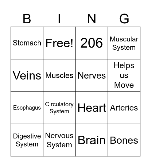 Body Systems BINGO Card
