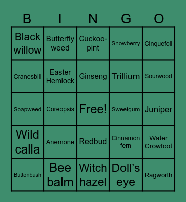 Ohio Native Plants Bingo Card