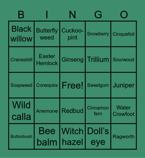 Ohio Native Plants Bingo Card