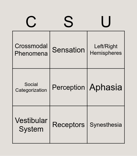 Sensation and Perception Bingo Card