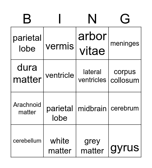 Human Anatomy Bingo Card