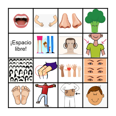 El cuerpo Bingo Card