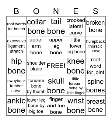 Orhtopedics Bingo Card