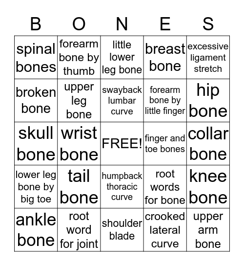 Orthopedics Bingo Card