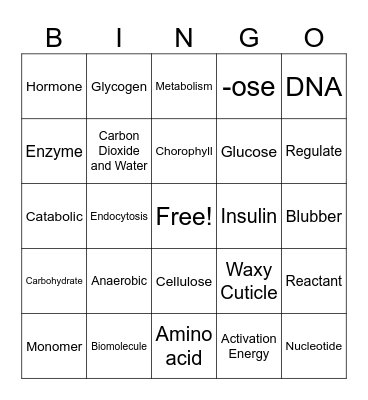 Biology Vocabulary Review Bingo Card