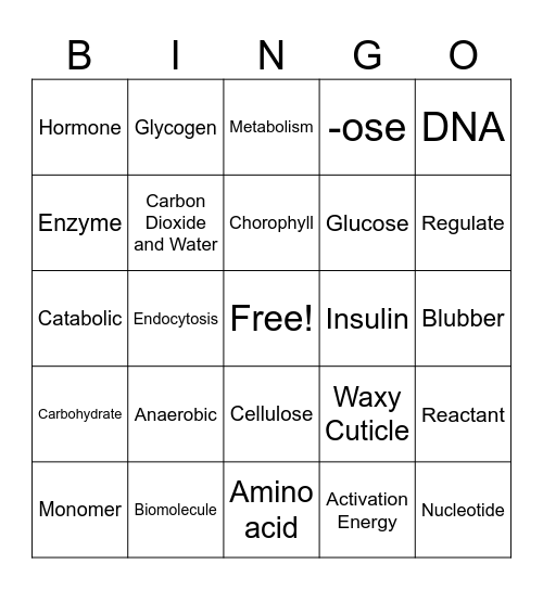 Biology Vocabulary Review Bingo Card