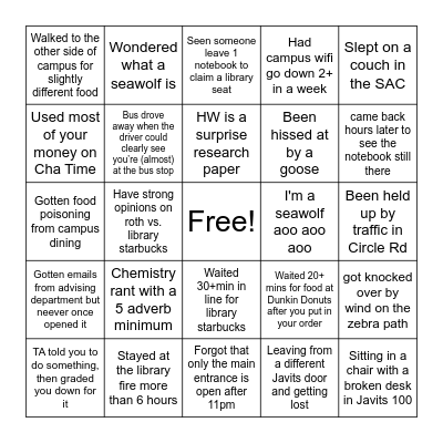 Stony Brook Bingo Card