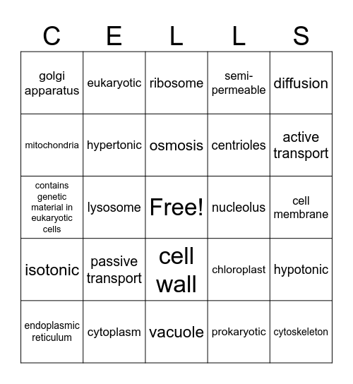 Cell Structures/Cell Transport Bingo Card