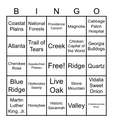 Georgia BINGO 2 Bingo Card