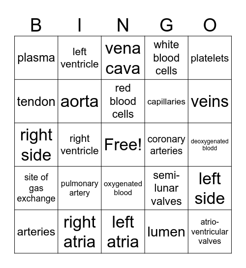 Heart anatomy bingo Card