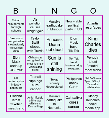 Official 2025 Bingo Card Bingo Card