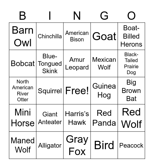 ZOO! Bingo Card
