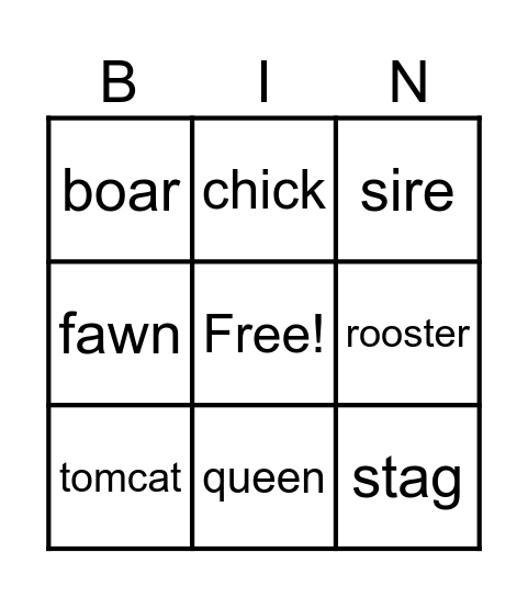 Animals and Their Names Bingo Card