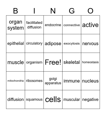 Anatomy Bingo! Bingo Card