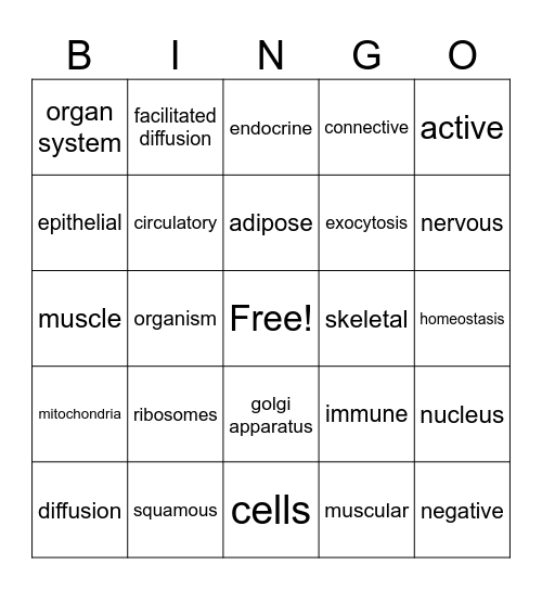 Anatomy Bingo! Bingo Card