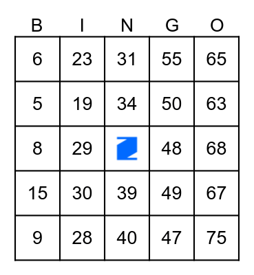 ZIPCODE BINGO Card