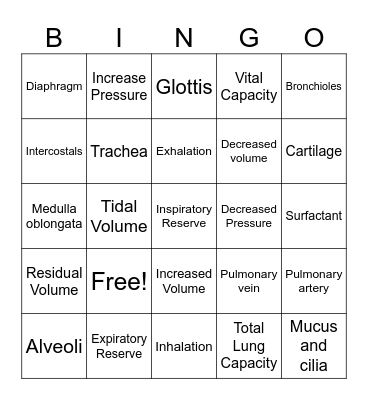 Respiratory System Bingo Card