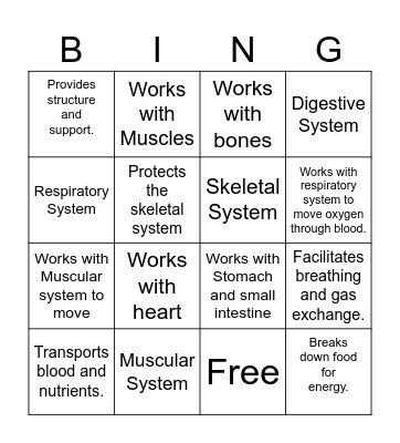 Body Systems Bingo Card