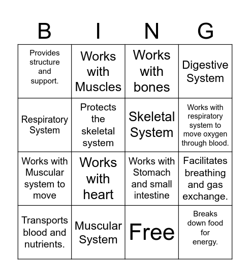 Body Systems Bingo Card