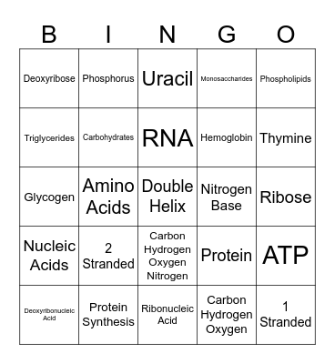 Macromolecules Bingo Card