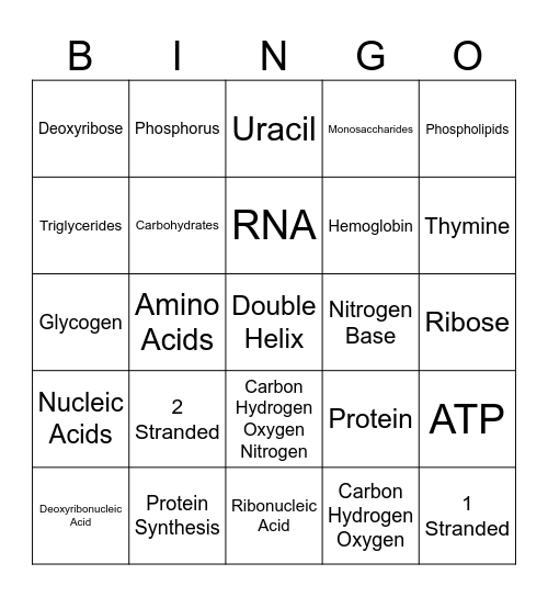 Macromolecules Bingo Card