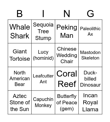 Museum of Natural History Bingo Card