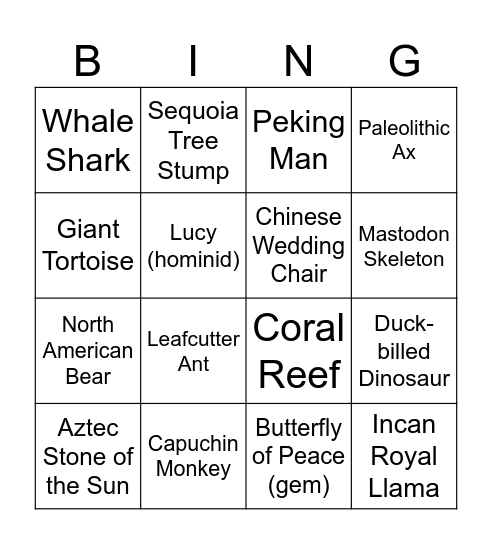 Museum of Natural History Bingo Card