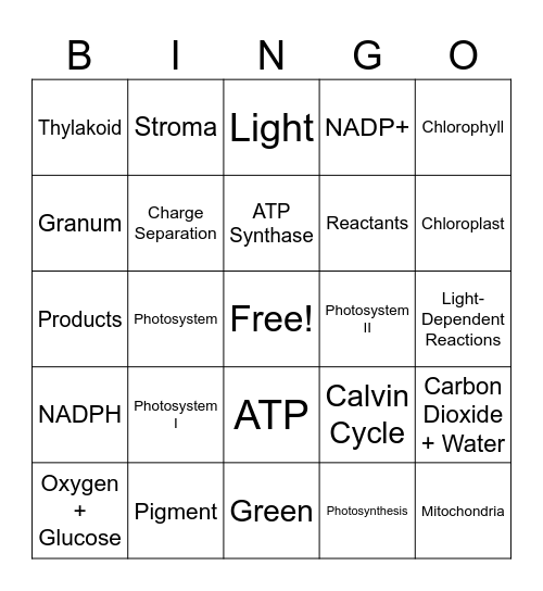 Photosynthesis Bingo Card