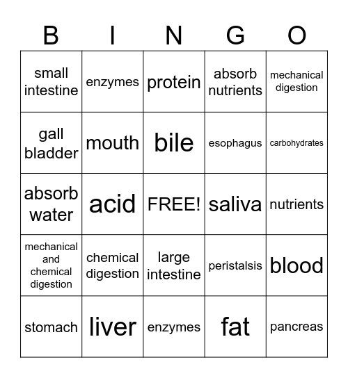 Digestive System Bingo Card