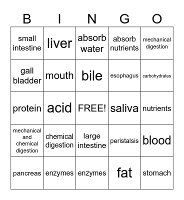 Digestive System Bingo Card