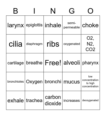 Respiratory System Bingo Card