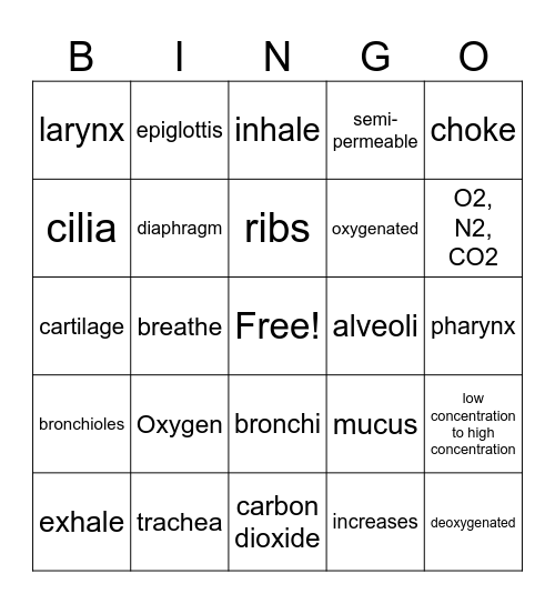 Respiratory System Bingo Card