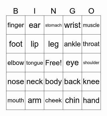 Body parts Bingo Card