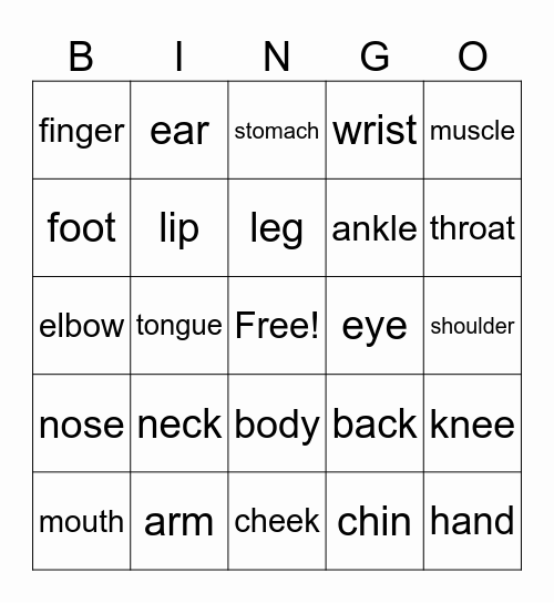 Body parts Bingo Card