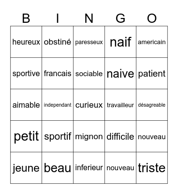 French Adjectives Bingo Card