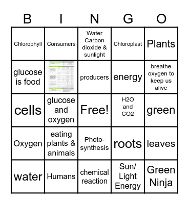 Photosynthesis Bingo Card