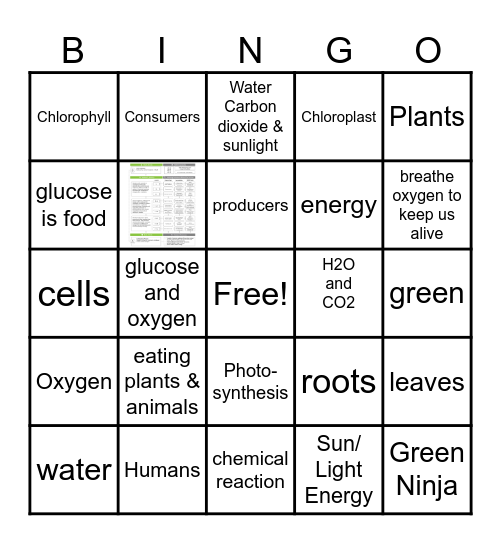 Photosynthesis Bingo Card