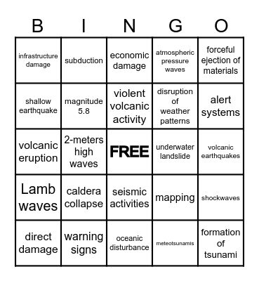 GEO-RISKS BINGO Card